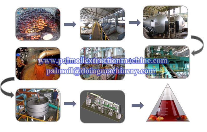 palm oil production line