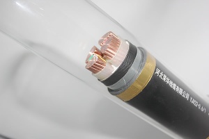 Electric Supply Cable