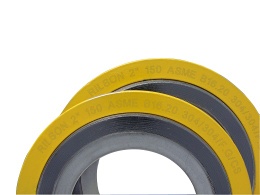 Spiral Wound Gasket made in China - RS-5001