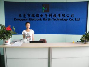 Dongguan Ruijin Electronic Technology Co., LTD