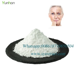 collagen protein powder wholesale pure collagen powder
