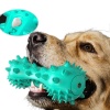 dog chew toothbrush teeth cleaning toys - TOY-001