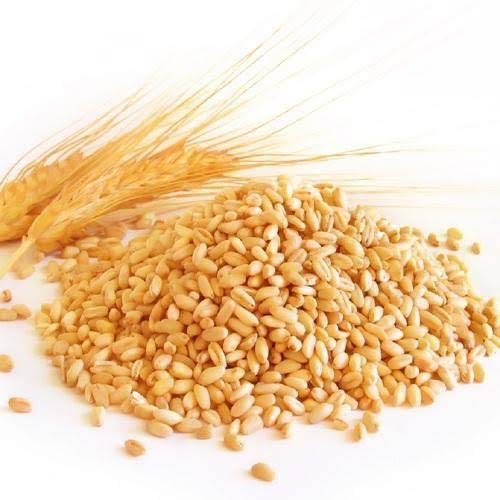Sun Agri Industries having widest range of Wheat like Milling Wheat, Lokwan Wheat, Sharbati Wheat, Durum Wheat, Bhalia Wheat, Hard Wheat, Animal Feed Wheat and Many More.