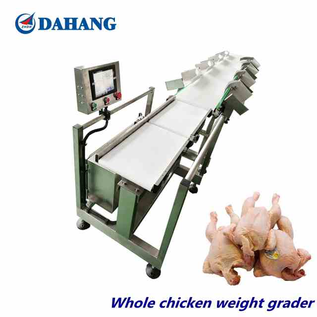 weight sorting machine for 600g-2800g chicken