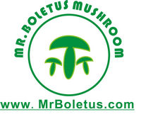 MR BOLETUS MUSHROOM INDUSTRY CO.,LTD