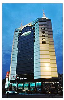 Shanghai Delixi Group Co., Ltd.