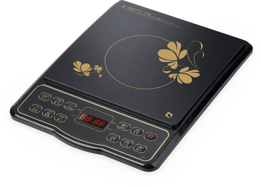 Induction Cooker