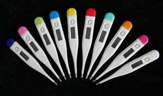 ECT-5 Digital Thermometer