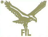 Falcons International
