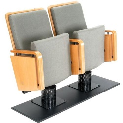 Auditorium seat, theater seat, conference hall seat