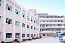 Dongguan Temei Industry Co., Ltd.
