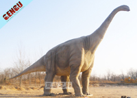 20m long dinosaurmodel