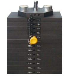 ASSEMBLY, WEIGHT STACK, 215 LBS - WT10012
