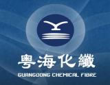 Jieyang Guangdong Chemical Fibre Co., Ltd.