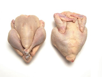 POULTRY - POULTRY