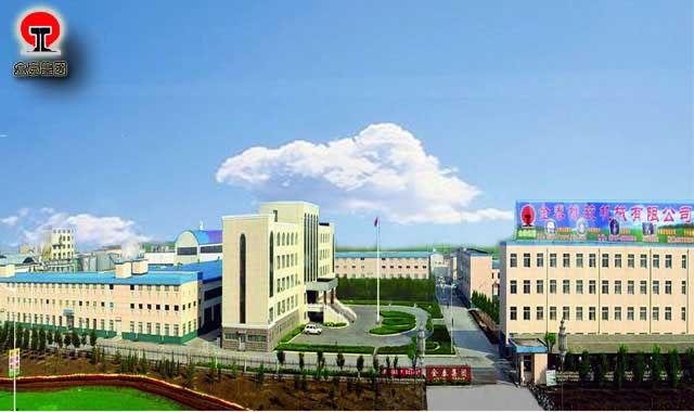 Shandong Dawang Jintai Group International Trade Co., Ltd