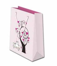 Fashion design paper bag,Gift bags