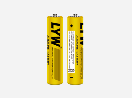 LR03 AAA alkaline batteries