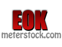 EOK meter and instrument stock Co., Ltd.