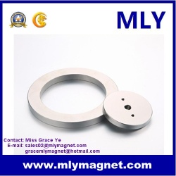 NdFeB Rare Earth Circle/ Ring Permanent Speaker Magnet