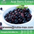 Acai Berry Extract 5% VitaminC(vanessa@nutra-max.com)