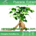 Pueraria (Kudzu Root) P. E. 40% Isoflavnis （vanessa@nutra-max.com）