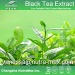 Black Tea P. E. 40% Theaflavine（vanessa@nutra-max.com）