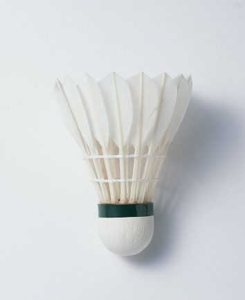 High quality design badminton ,professional shuttlecocks - Badminton 5
