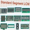 Standard Segment LCM