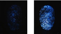Anti-Fingerprint Screen Protector