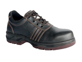 D1002 Safety Shoes, Industrial Safety Footware
