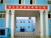 Wuhan Yuancheng Technology Development Co., Ltd