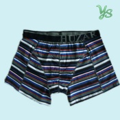 Fashion Style of Mens boxer shorts Underwears in 2012