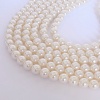 factory supplied high quality imitation pearls