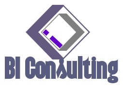 BI Consulting Group Limited