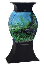 Vaselike Acrylic aquarium
