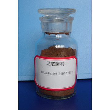 Reishi Extract Powder