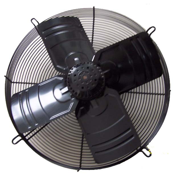 fan