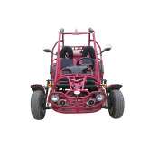 250CC WATER COOLED GO KART