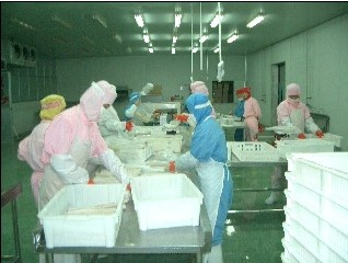 Qingdao Kington Industrial Co., Ltd