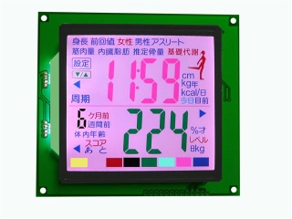 Blackmask LCD Panel - SDM8A4184A