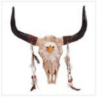 BullS Skull With Eagle Spirit