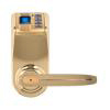 Biometric Lock / Digital Lock - LP903