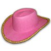 Sinamay Hat