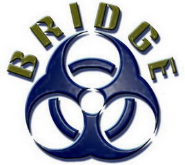 Bridge International Co., Ltd