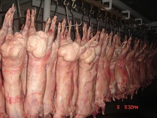 mutton meat