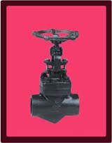 CAST IRON SWING CHECK VALVE,CLASS125,FLANGED ENDS