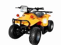 ATVs(Quade,Beach bike) - ATVs