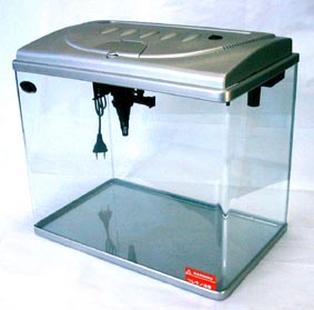 Mini aquarium tank 