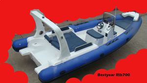 2011 new model Rib700 boat